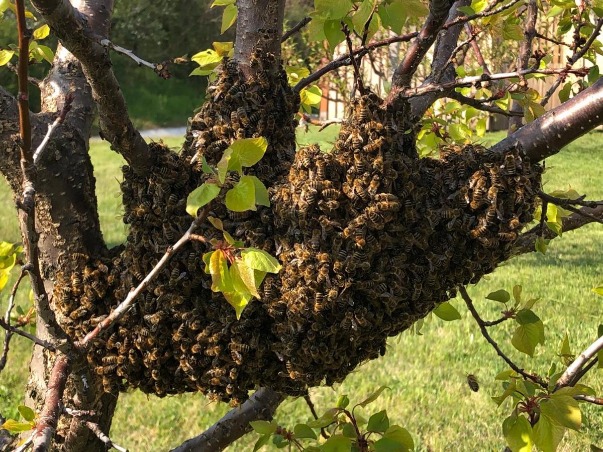Lipics Part Διαμέρισμα Muraratka Εξωτερικό φωτογραφία